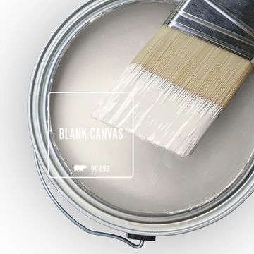 behhr paint blank canvas