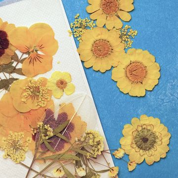 flat lay of crafts with dried pressed flowers