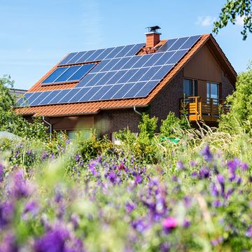 house with solar panels in summertime