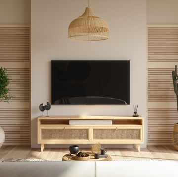 living room interior with smart tv, cabinet, sofa, cactus plant and coffee table